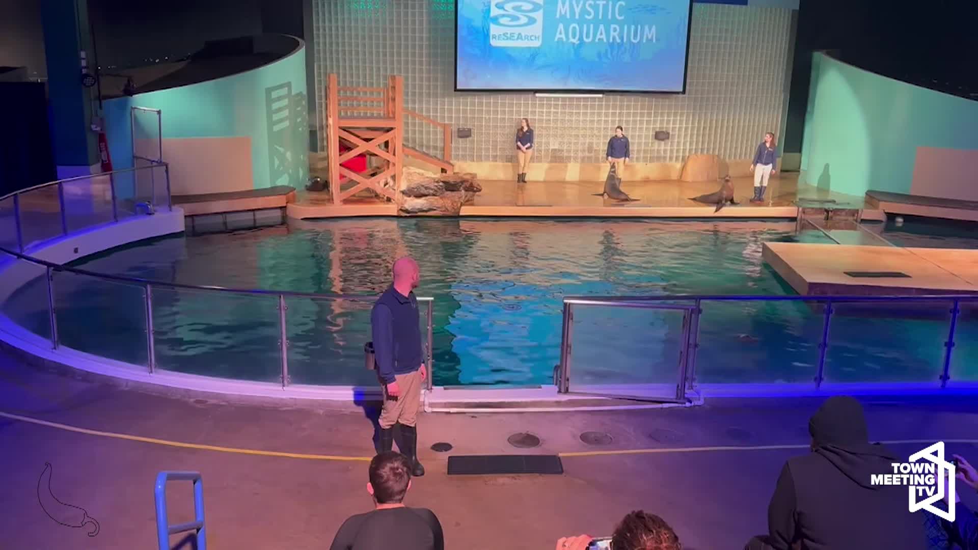 Thumbnail image for CCTV Goes to the Mystic Aquarium - 12/10/24