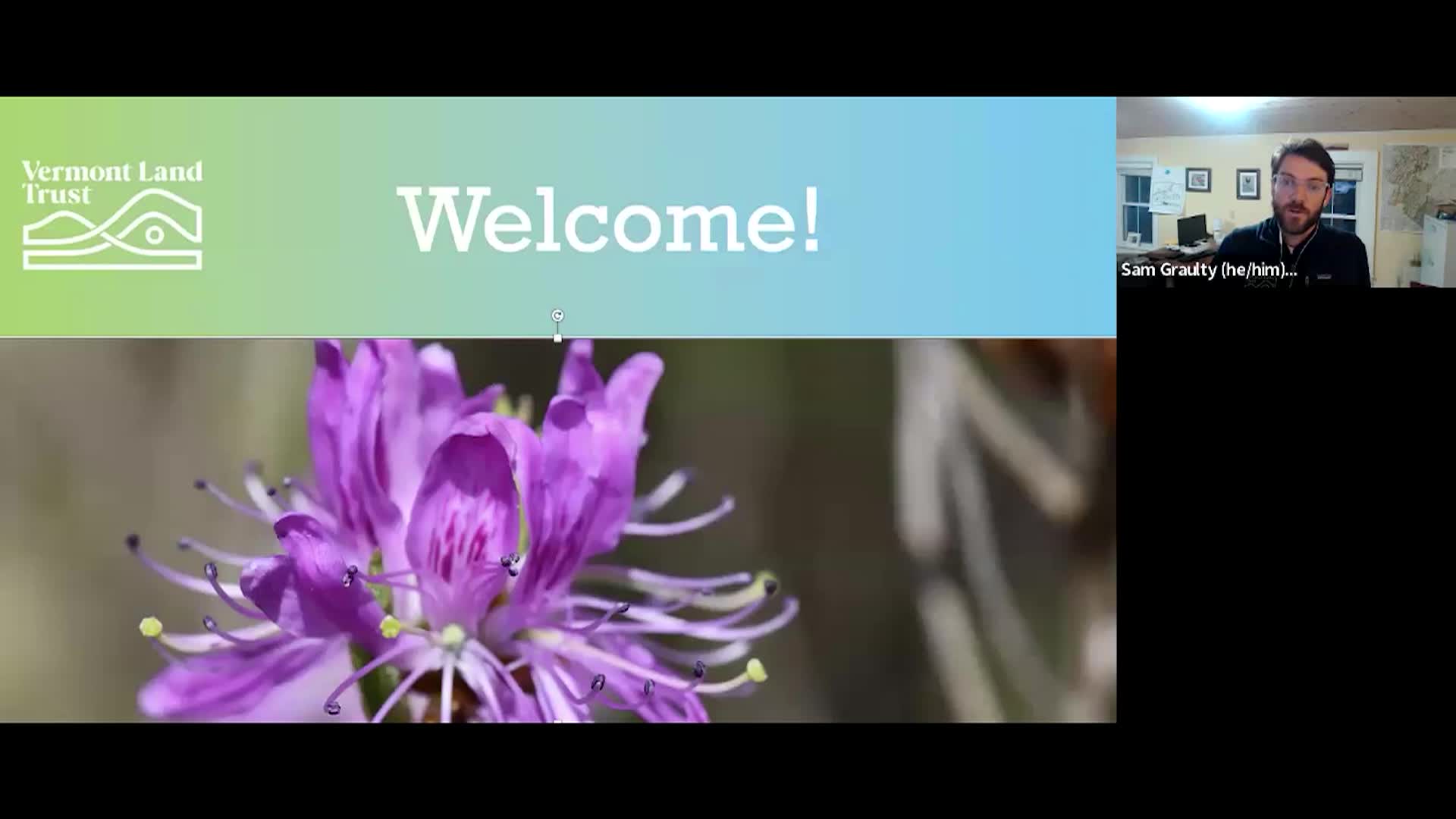 Thumbnail image for Vt. Land Trust - Spring Wildflowers and the Season of Hope