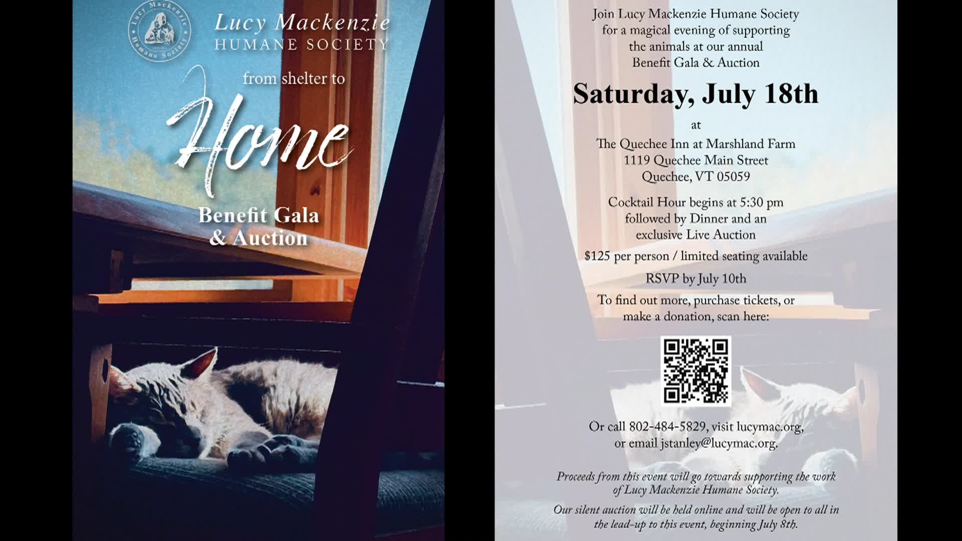 Thumbnail image for Lucy Mackenzie Humane Society - June 2026 Adoptables