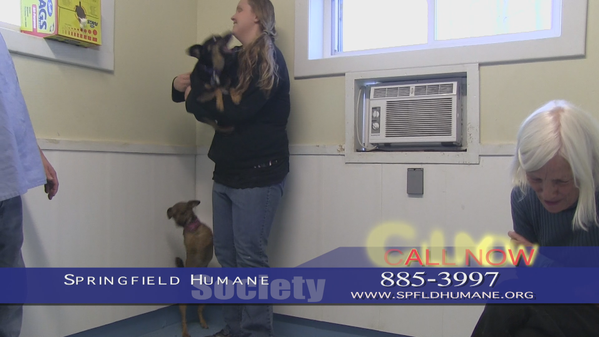 Thumbnail image for Springfield Humane Society - 11-14-14